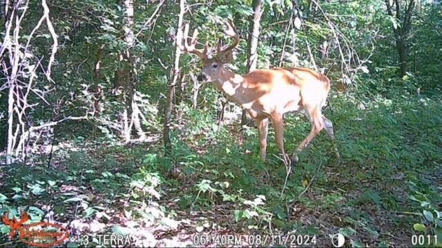 7504 Lincoln Lake Road Northeast Belding, MI 48809 - Photo 38 of 50 IMG_1375