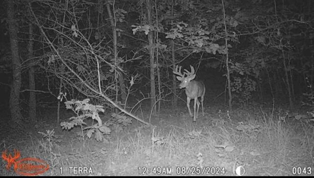 7504 Lincoln Lake Road Northeast Belding, MI 48809 - Photo 39 of 50 IMG_1376