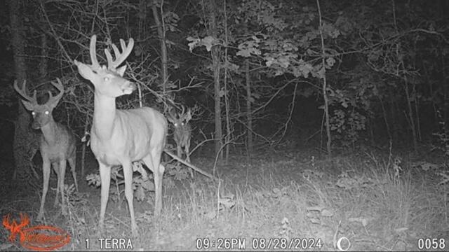 7504 Lincoln Lake Road Northeast Belding, MI 48809 - Photo 40 of 50 IMG_1377