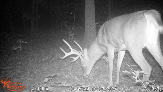 $525,000 | 7504 Lincoln Lake Road Northeast, Belding, MI 48809