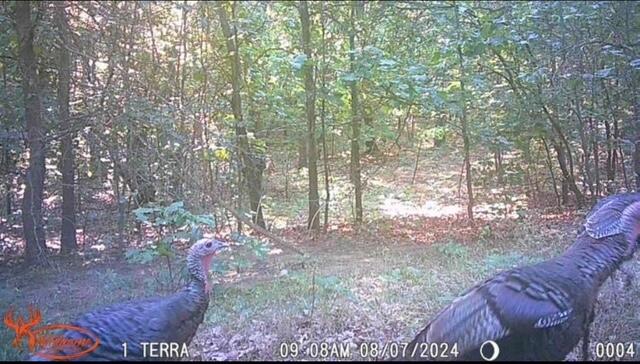 7504 Lincoln Lake Road Northeast Belding, MI 48809 - Photo 42 of 50 IMG_1374