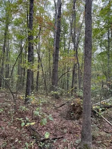 $58,000 | Lot 4 Tipple Road, Unit 4, Tracy City, TN 37387