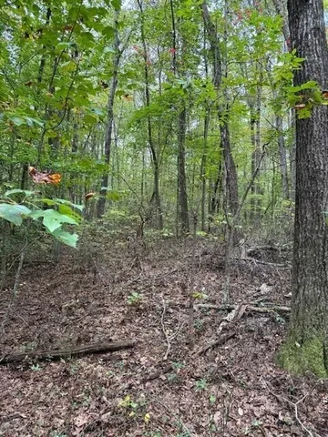 $58,000 | Lot 4 Tipple Road, Unit 4, Tracy City, TN 37387