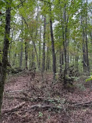 $58,000 | Lot 4 Tipple Road, Unit 4, Tracy City, TN 37387