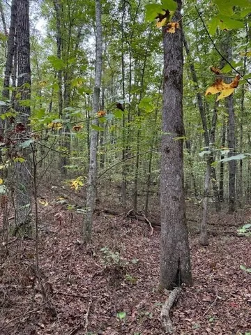 $58,000 | Lot 4 Tipple Road, Unit 4, Tracy City, TN 37387