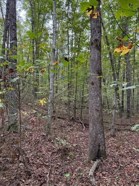 Lot 4 Tipple Road, Unit 4 Tracy City, TN 37387 - Photo 14 of 19 14