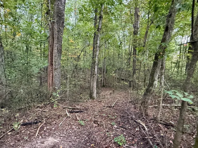 $58,000 | Lot 4 Tipple Road, Unit 4, Tracy City, TN 37387