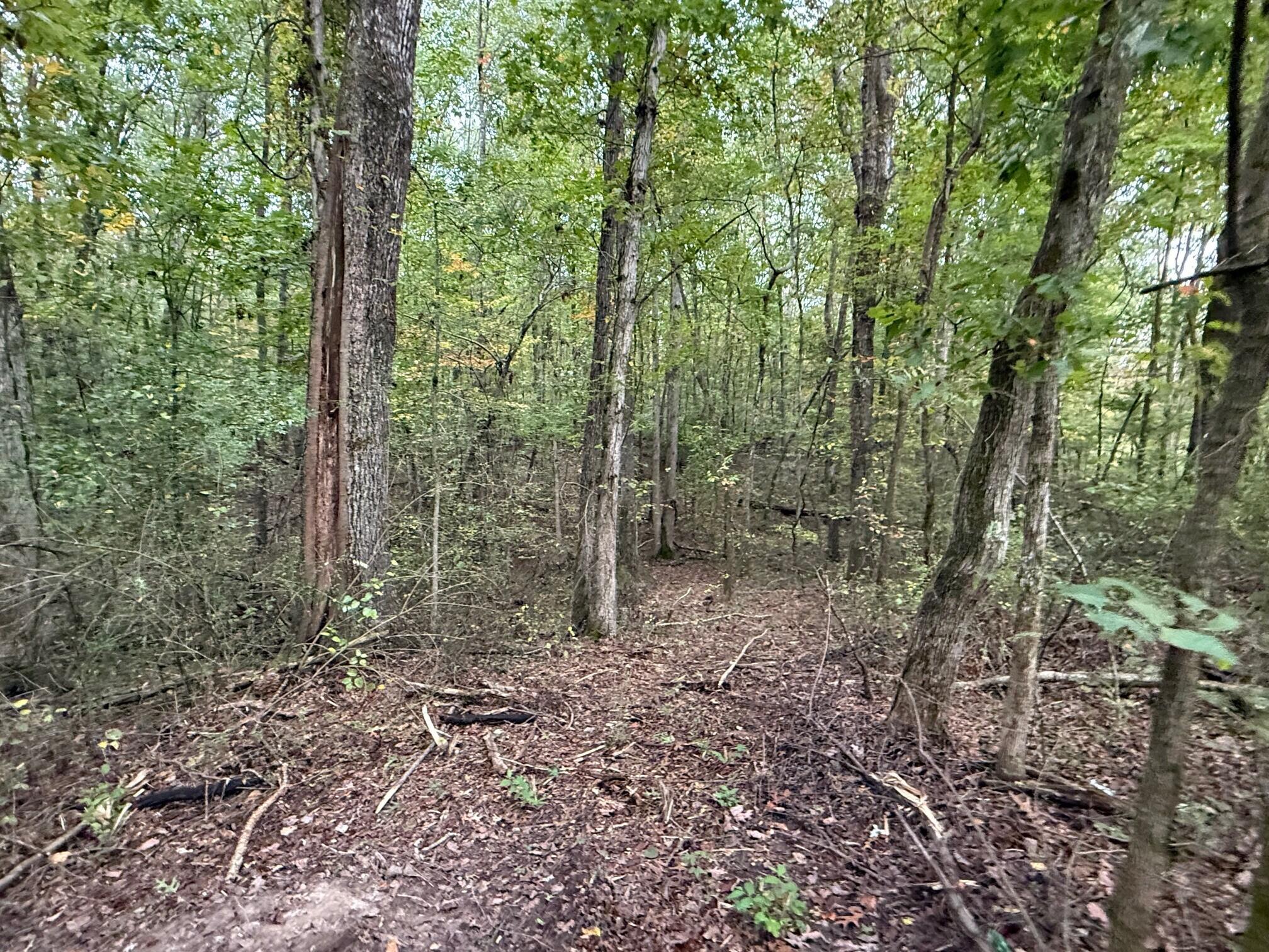 Lot 4 Tipple Road, Unit 4 Tracy City, TN 37387 - Photo 15 of 19 17