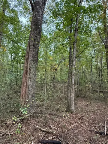 $58,000 | Lot 4 Tipple Road, Unit 4, Tracy City, TN 37387