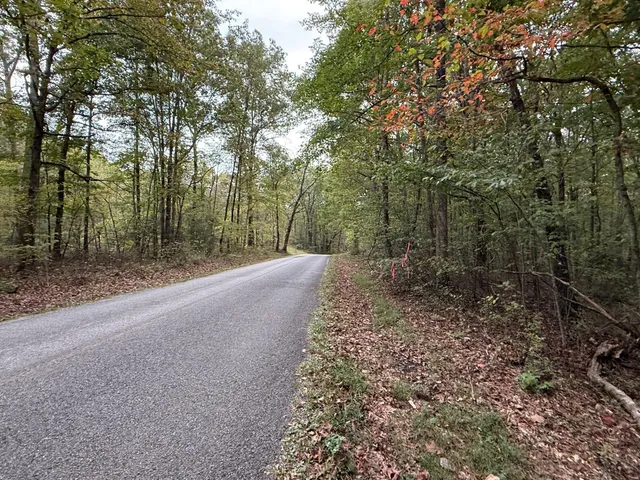 $58,000 | Lot 4 Tipple Road, Unit 4, Tracy City, TN 37387