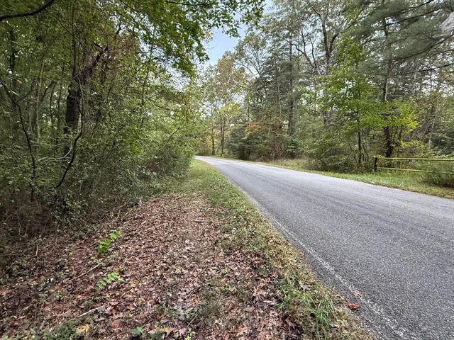 $58,000 | Lot 4 Tipple Road, Unit 4, Tracy City, TN 37387