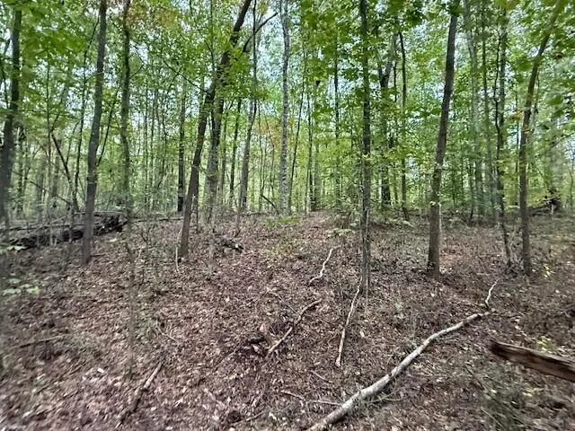 $58,000 | Lot 4 Tipple Road, Unit 4, Tracy City, TN 37387