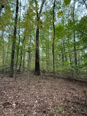 $58,000 | Lot 4 Tipple Road, Unit 4, Tracy City, TN 37387