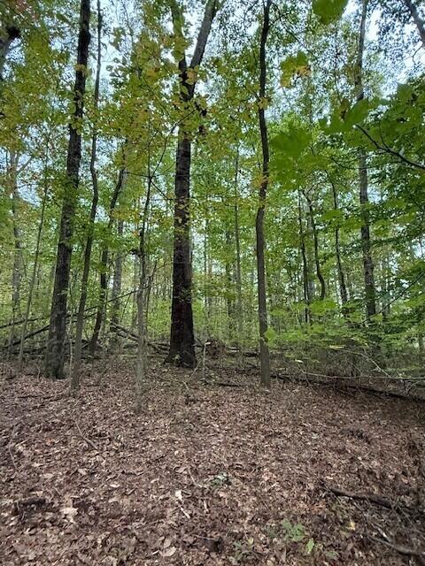 Lot 4 Tipple Road, Unit 4 Tracy City, TN 37387 - Photo 3 of 19 3