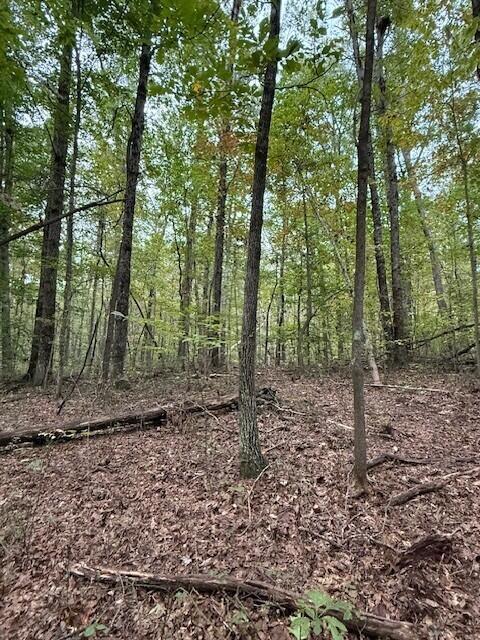 Lot 4 Tipple Road, Unit 4 Tracy City, TN 37387 - Photo 4 of 19 4