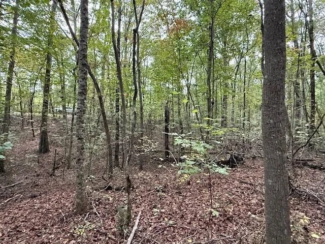 $58,000 | Lot 4 Tipple Road, Unit 4, Tracy City, TN 37387