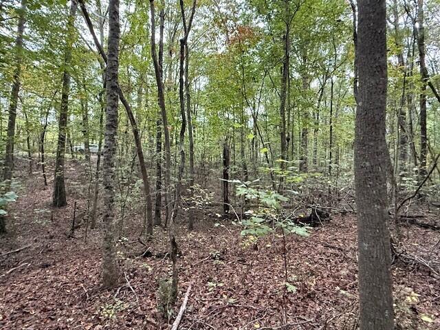 Lot 4 Tipple Road, Unit 4 Tracy City, TN 37387 - Photo 6 of 19 6