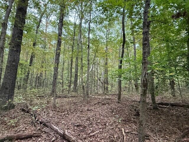 Lot 4 Tipple Road, Unit 4 Tracy City, TN 37387 - Photo 7 of 19 7