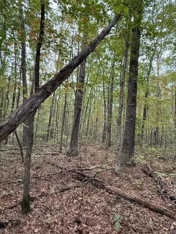 $58,000 | Lot 4 Tipple Road, Unit 4, Tracy City, TN 37387