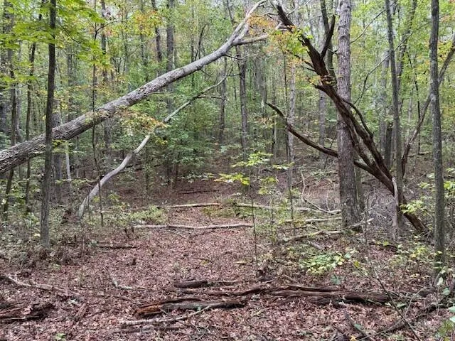 $58,000 | Lot 4 Tipple Road, Unit 4, Tracy City, TN 37387