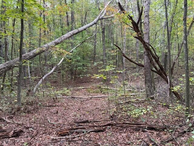 Lot 4 Tipple Road, Unit 4 Tracy City, TN 37387 - Photo 10 of 19 10