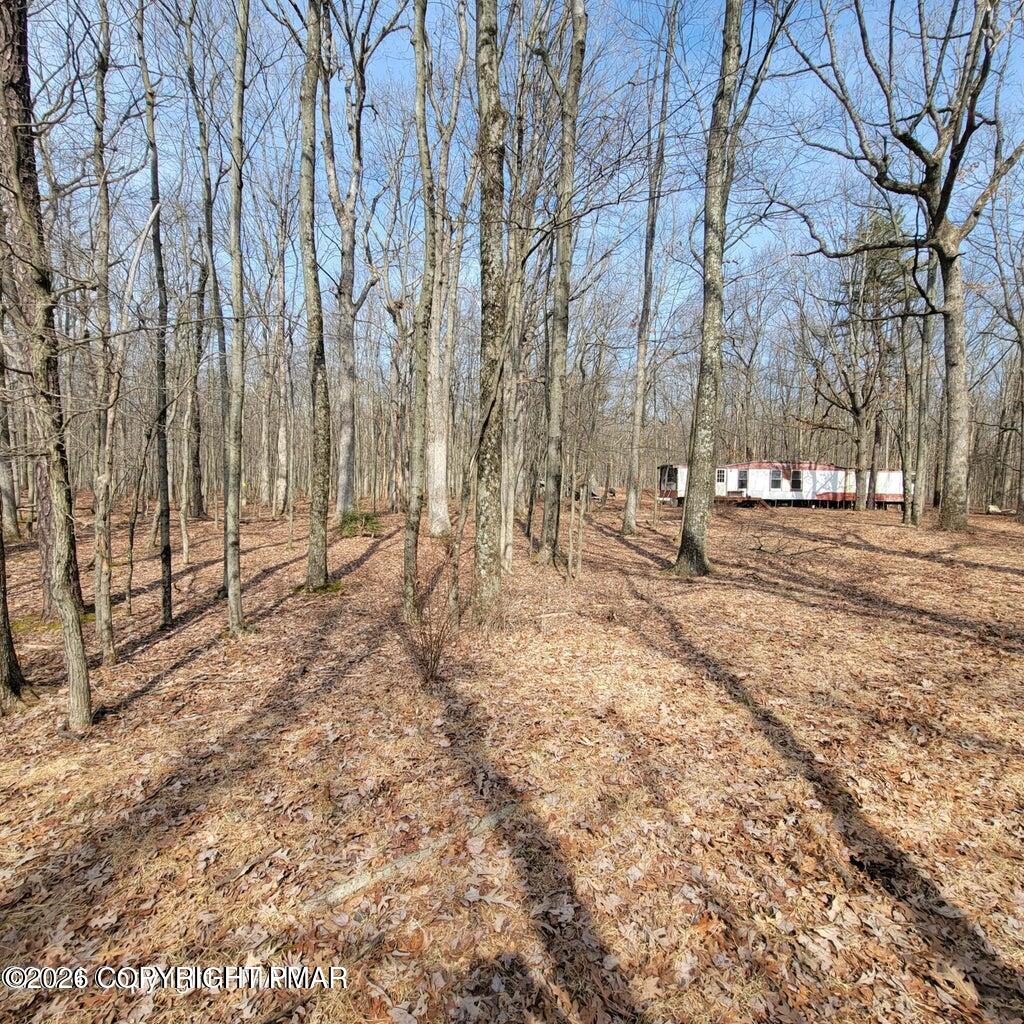 479 Jonas Road Effort, PA 18330 - Photo 2 of 8 20260613194555706674000000-o
