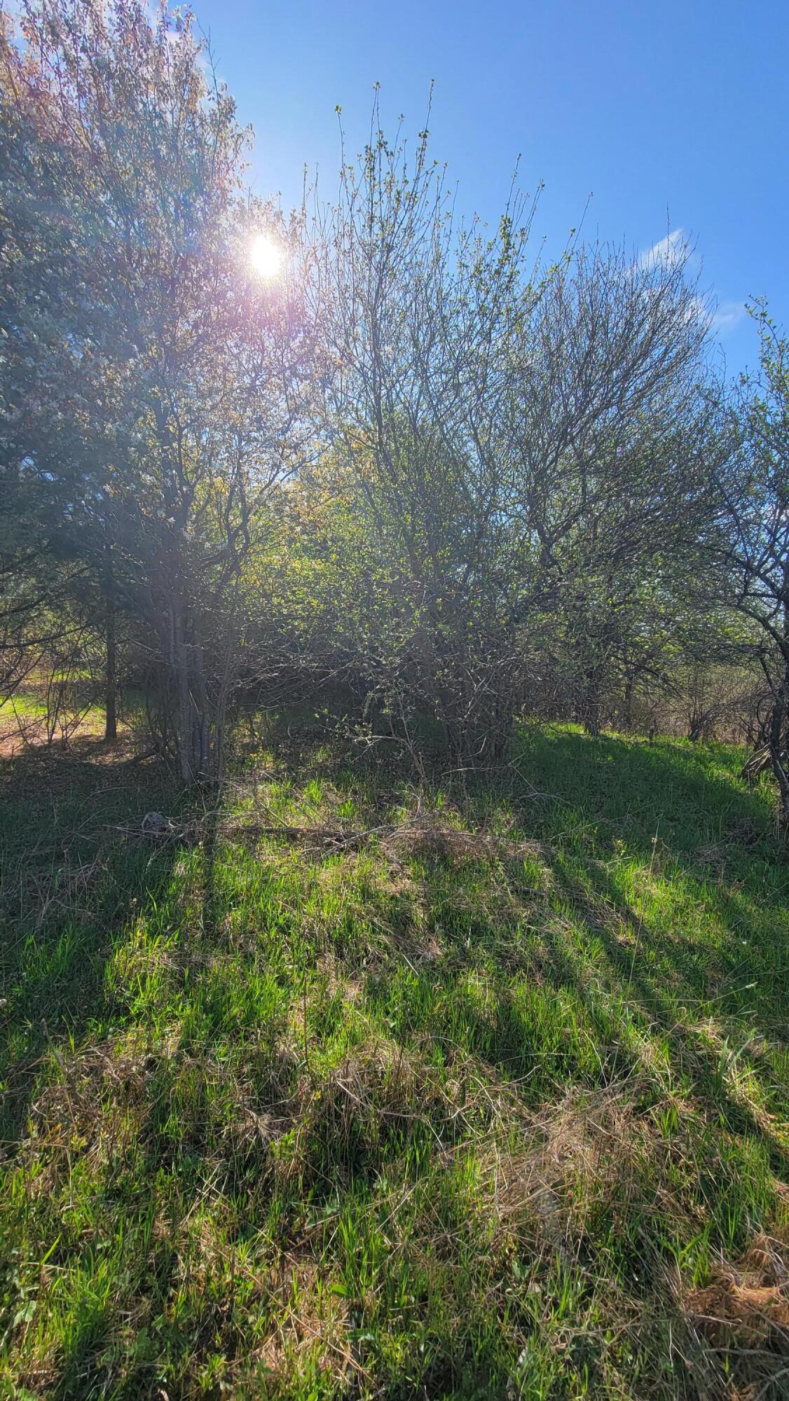 9260 23 Mile Road Evart, MI 49631 - Photo 14 of 20 20250508_094934
