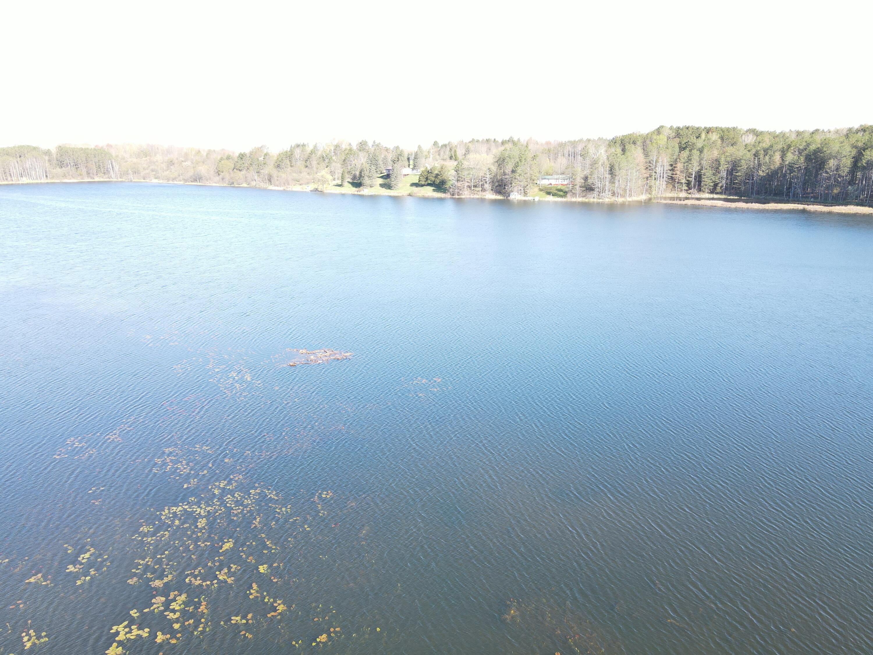 9260 23 Mile Road Evart, MI 49631 - Photo 7 of 20 dji_fly_20250508_093006_335_174671101865