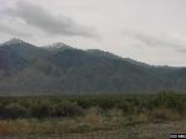 0 Rail Road Winnemucca, NV 89445 - Photo 1 of 1 a view of mountains in the middle of a yard