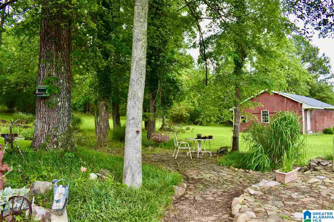 3775 Tidwell Hollow Road Oneonta, AL 35121 - Photo 10 of 49