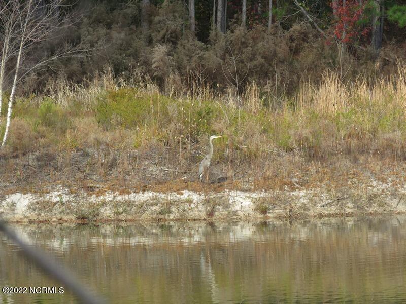 0 Lovette Road Lumberton, NC 28358 - Photo 38 of 39 IMG_6320