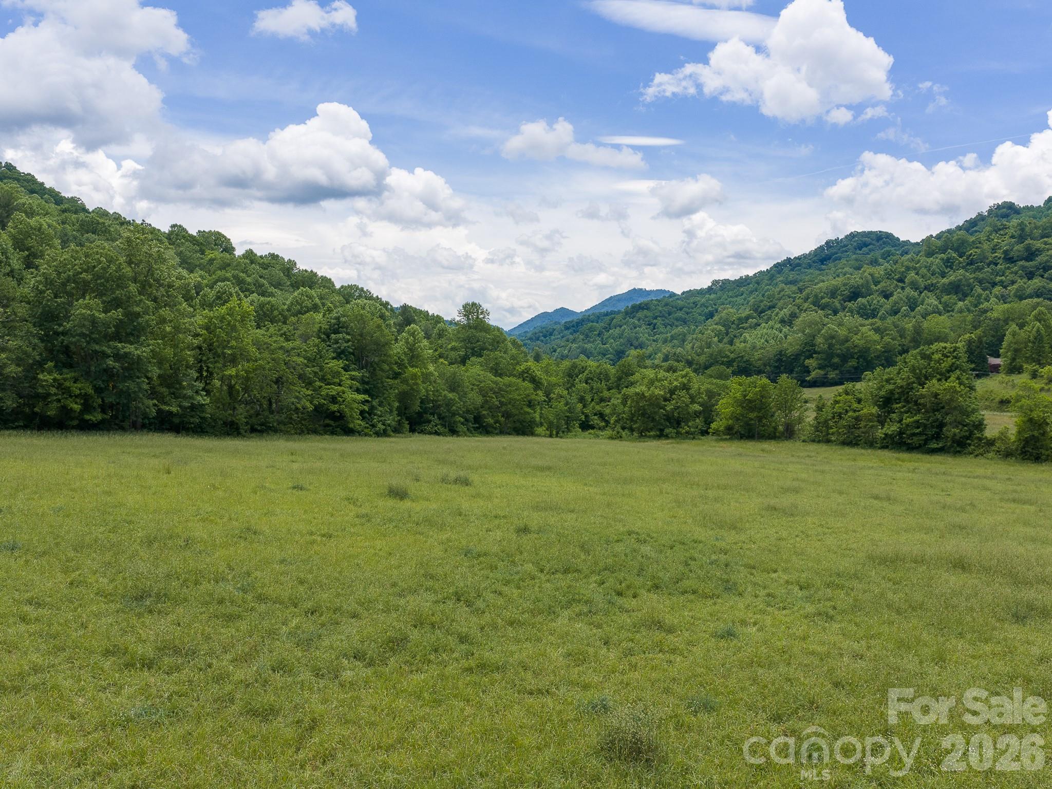 0 Sallys Branch Road Clyde, NC 28721 - Photo 11 of 22
