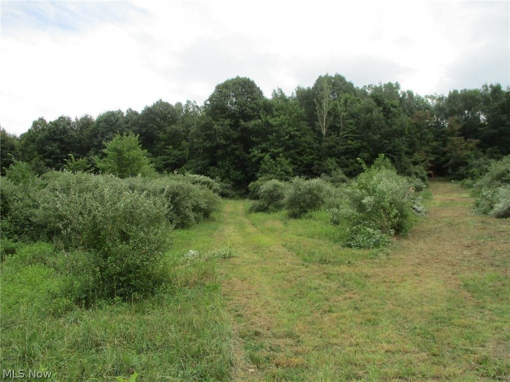 Middle Run Road Dover, OH 44622 - Photo 3 of 9 Gallery Image 3