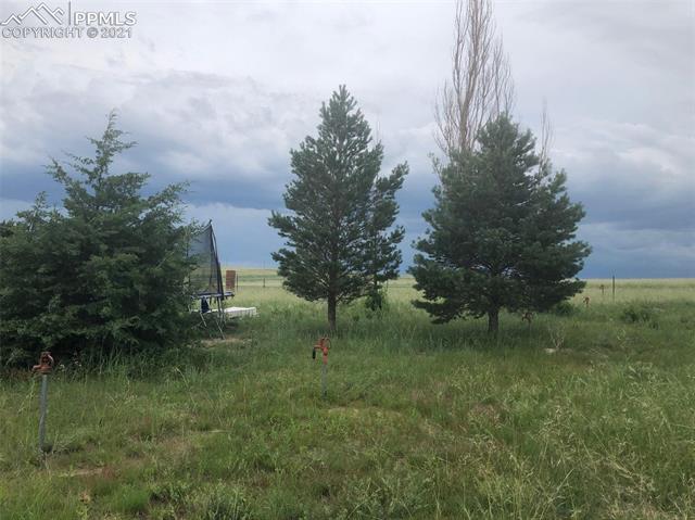 13115 Log Road Peyton, CO 80831 - Photo 3 of 5 Gallery Image 3