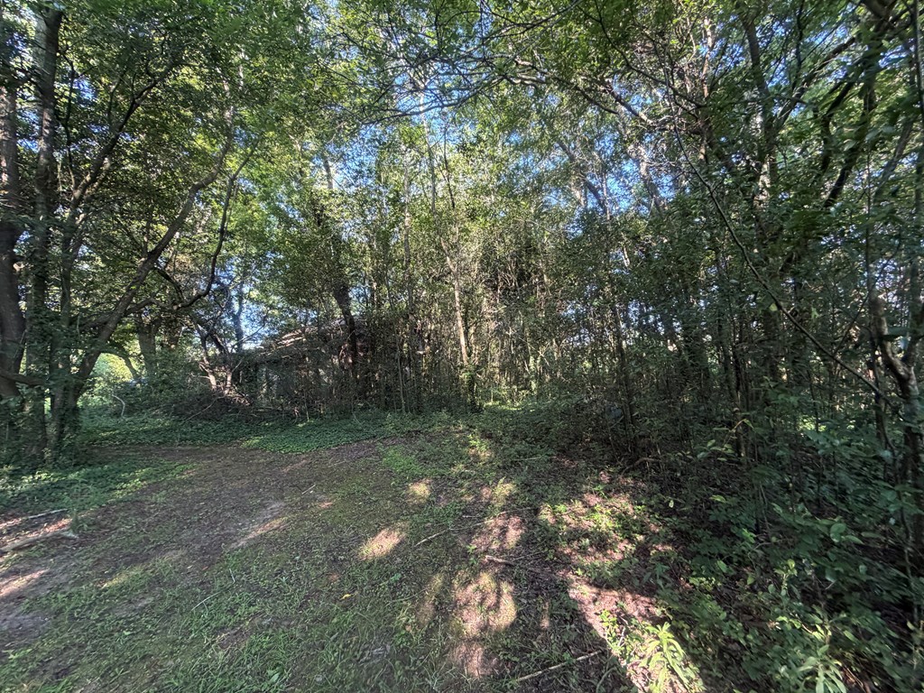 1 Nichols Road Pinckard, AL 36350 - Photo 18 of 29