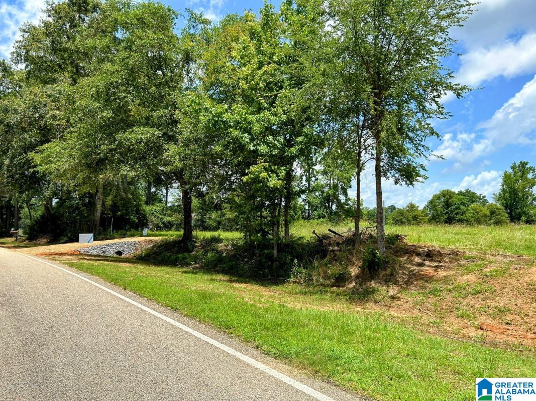 North Hagler Road Northport, AL 35475 - Photo 5 of 12