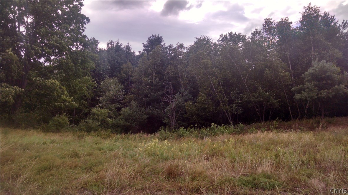 -- Greig Road Greig, NY 13345 - Photo 1 of 1