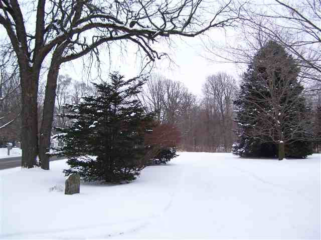 3292 Albion Road Concord, MI 49237 - Photo 4 of 15 Photo 4