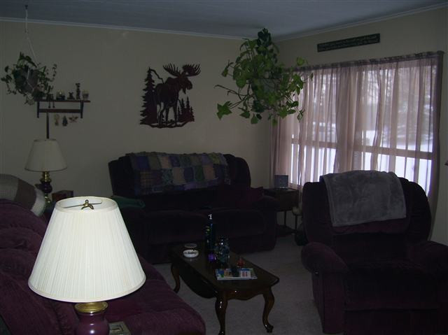 3292 Albion Road Concord, MI 49237 - Photo 6 of 15 Photo 6