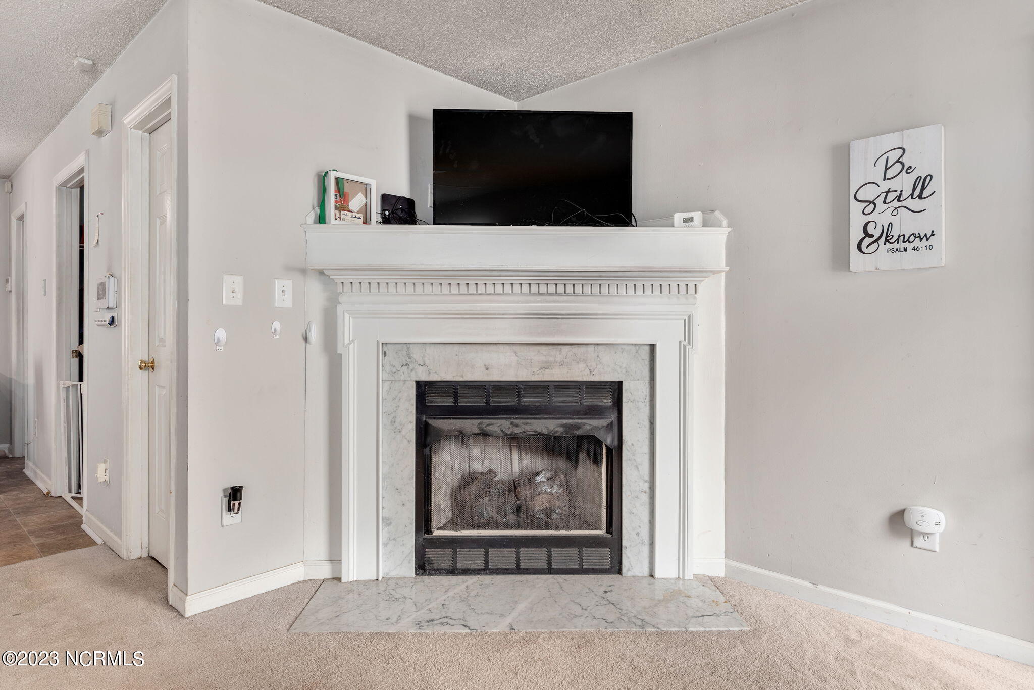 2247 Violet Bluff Court Raleigh, NC 27610 - Photo 9 of 25 Fireplace
