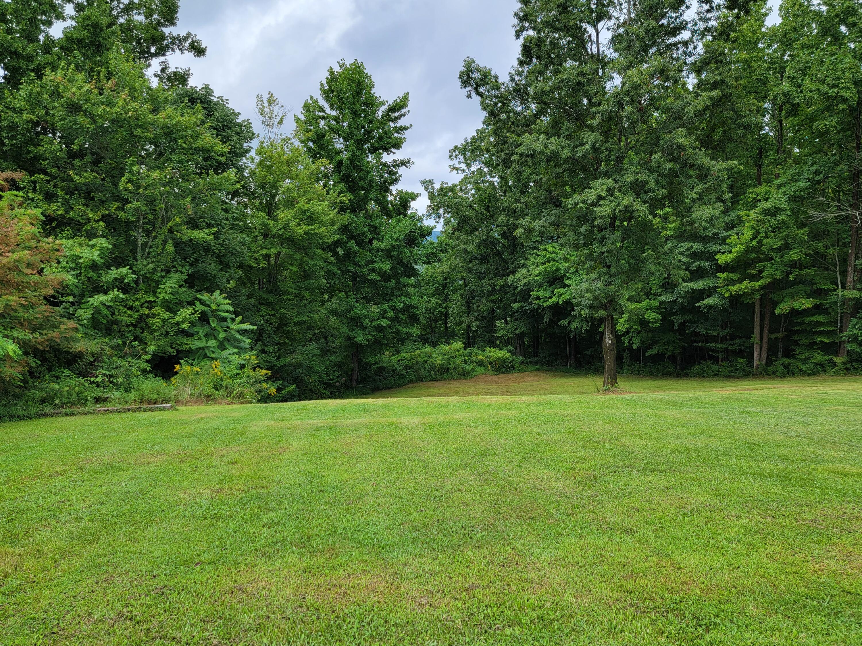 667 Tom Stamper Road Frenchburg, KY 40322 - Photo 5 of 20 20210816_133326