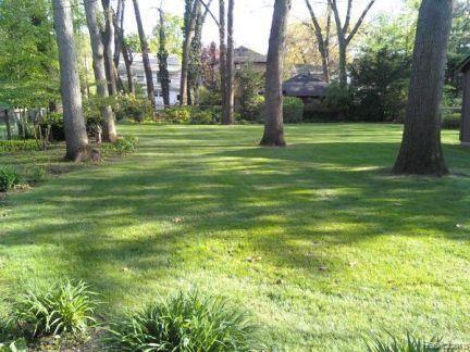125 Cambridge Boulevard Pleasant Ridge, MI 48069 - Photo 12 of 13 Yard