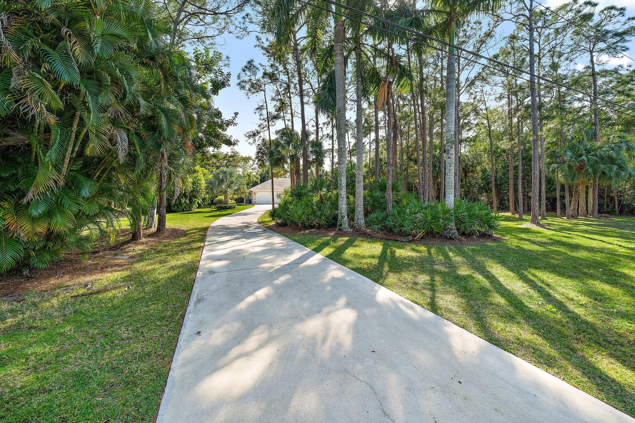 10424 Sandy Run Road Jupiter, FL 33478 - Photo 13 of 52 a view of a park with large trees
