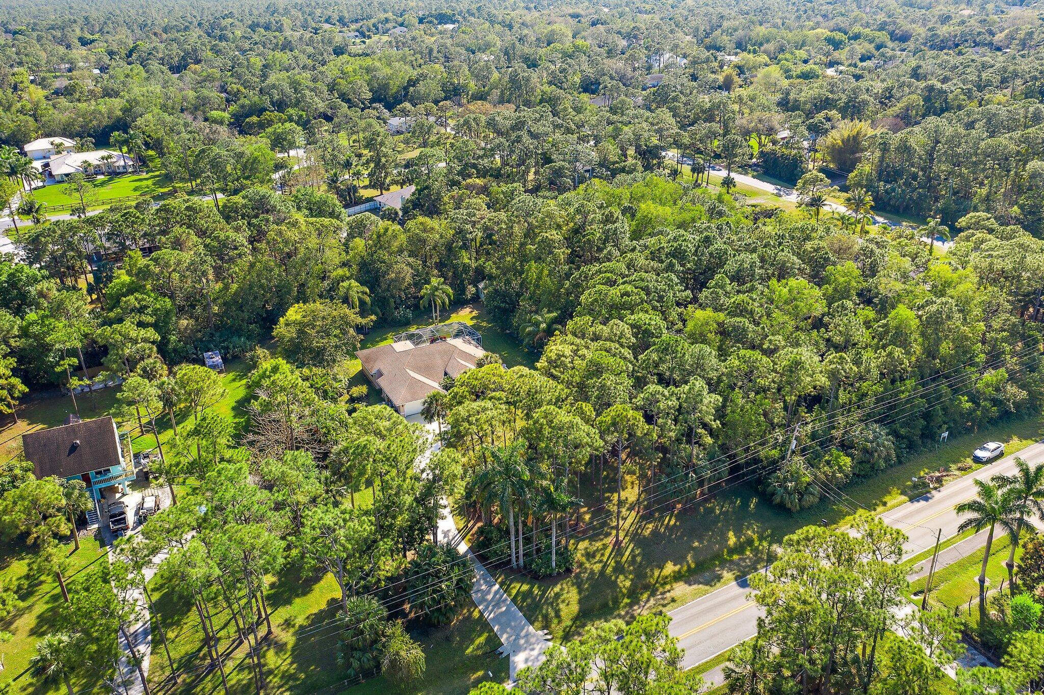 10424 Sandy Run Road Jupiter, FL 33478 - Photo 42 of 52 a picture of a tree