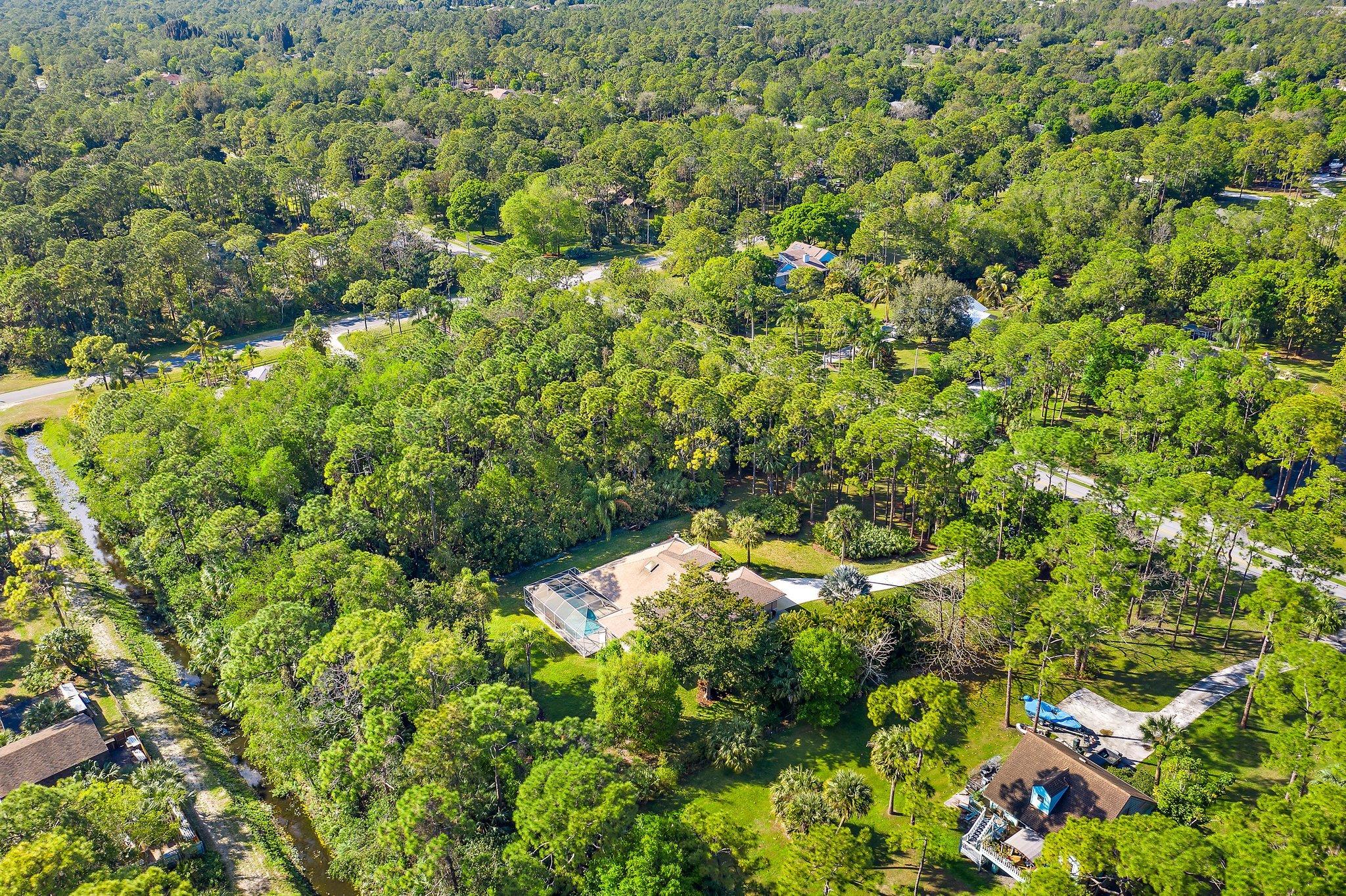 10424 Sandy Run Road Jupiter, FL 33478 - Photo 44 of 52 a view of a lush green forest with lots of trees