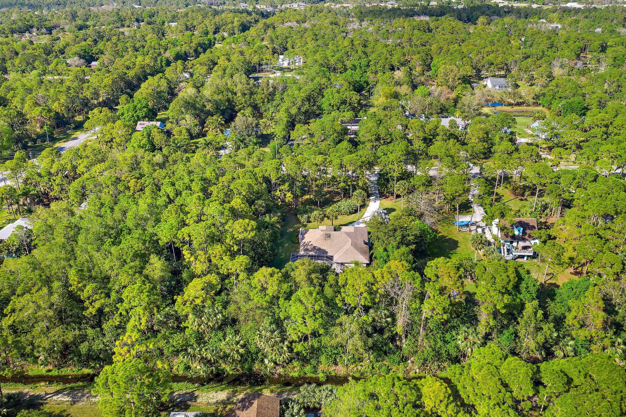 10424 Sandy Run Road Jupiter, FL 33478 - Photo 45 of 52 a view of a bunch of trees