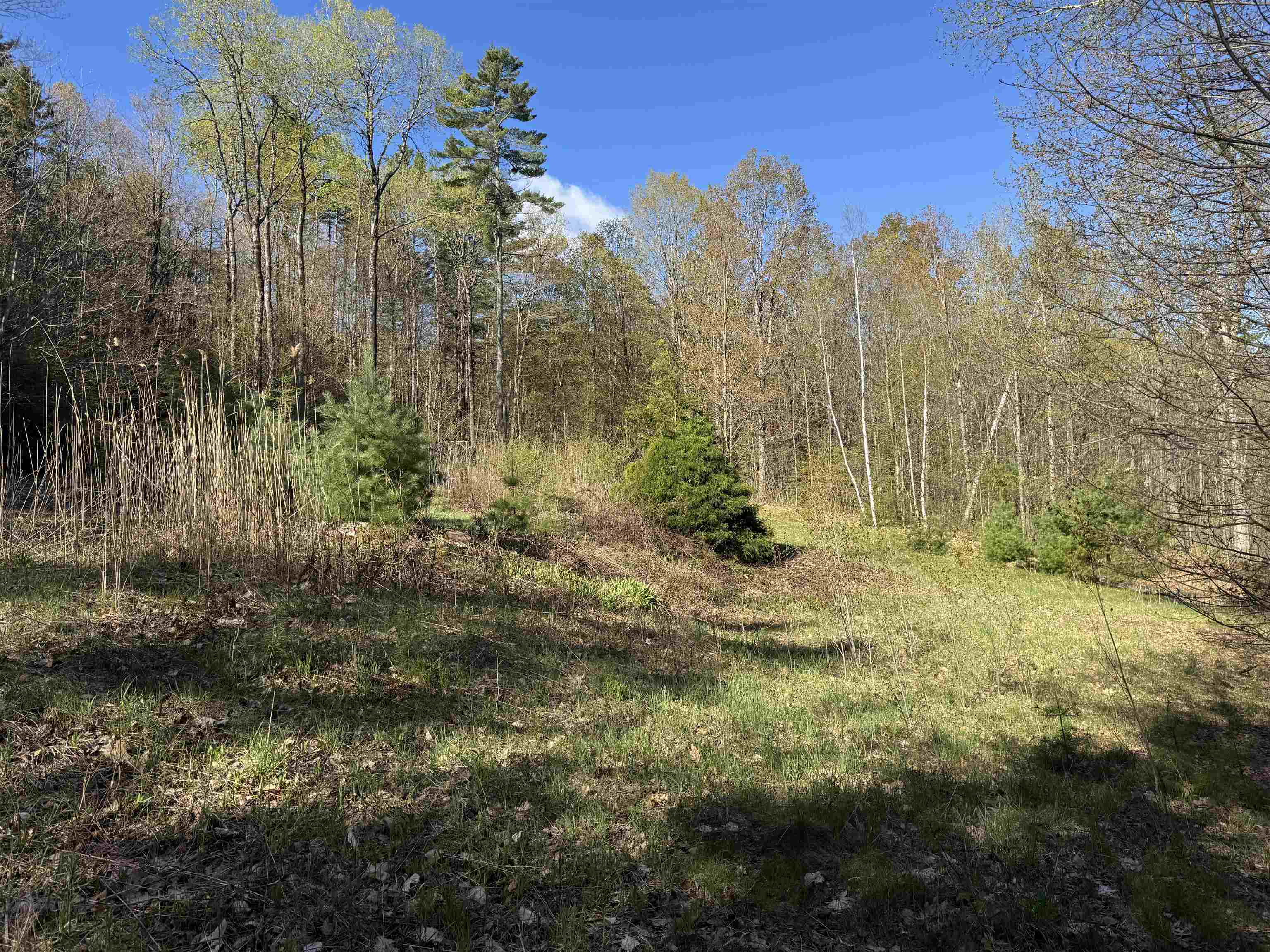 807 Kidder Hood Road Bradford, VT 05033 - Photo 3 of 21