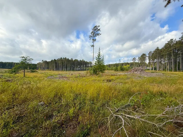 $34,900 | 119 County Road 119, Nevis, MN 56467