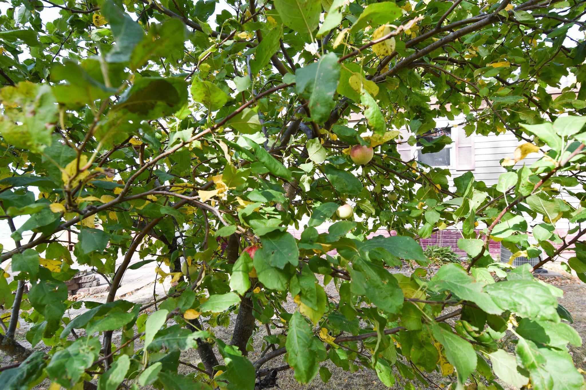 33806 220th Street Mahnomen, MN 56557 - Photo 30 of 81