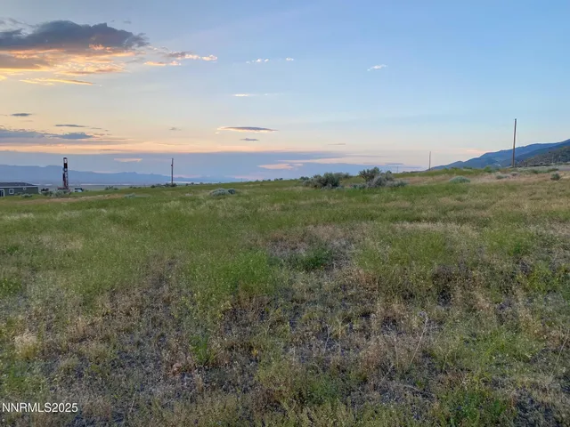 a view of a field with an ocean